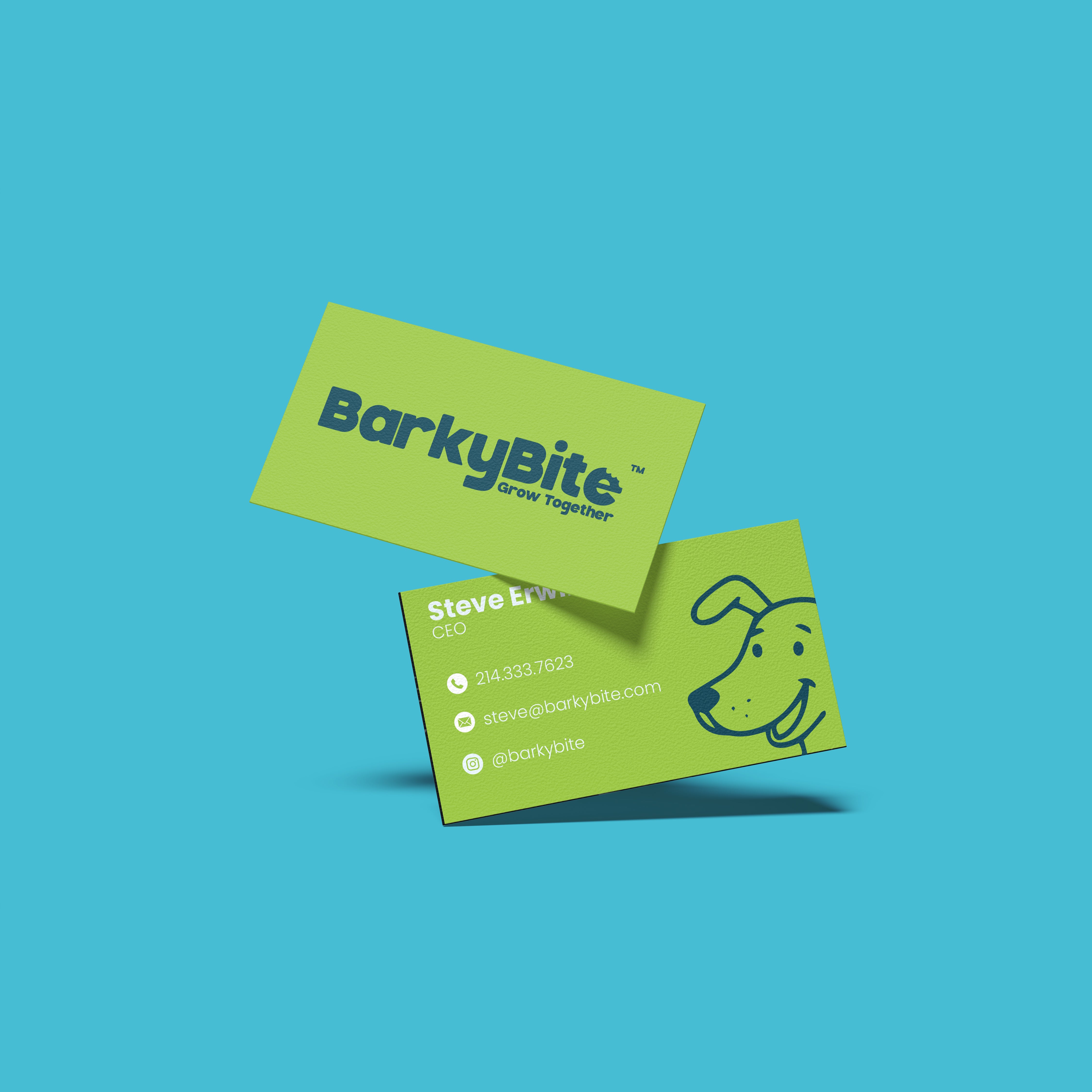 Standard Business Cards